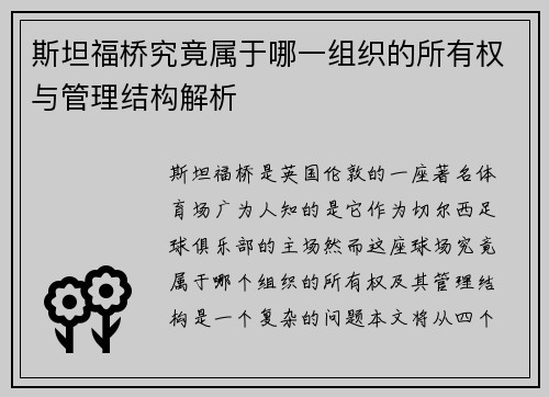 斯坦福桥究竟属于哪一组织的所有权与管理结构解析 斯坦福桥究竟属于哪一组织的所有权与管理结构解析