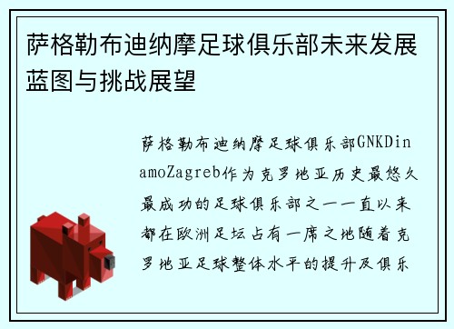 萨格勒布迪纳摩足球俱乐部未来发展蓝图与挑战展望